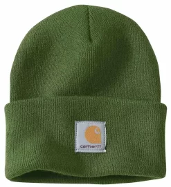 Muts Carhartt Men Watch Hat Arborvitae
