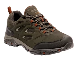 Wandelschoenen Men Regatta Holcombe IEP Low Bayleaf Burnt Umber