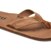 Slipper Reef Draftsmen Bronze Brown